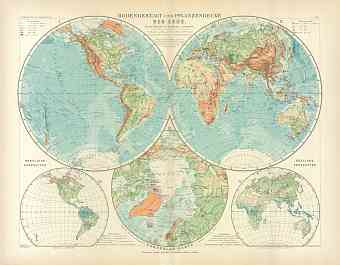 World Hemisphere Map, 1905
